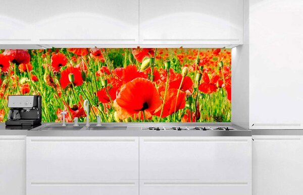 Фототапет за кухня - червени макове 180 x 60 см