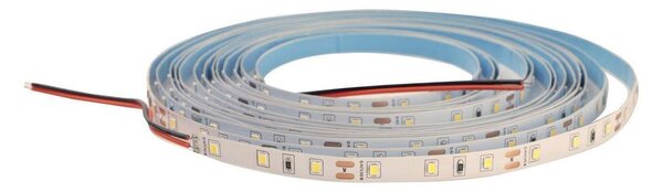 LED димируем лента DAISY 5м студена бяла светлина