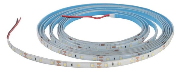 LED Лента за баня DAISY 5м студено бяла IP65