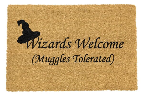 Рогозка от естествени кокосови влакна , 40 x 60 cm Wizards Welcome - Artsy Doormats