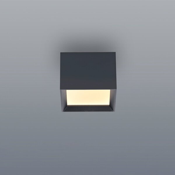 PURE LED таванна лампа Manhatten, мистично сиво, 1-лампова, CCT, Затъмняване, Сив, Коридор, Алуминий, Модерен
