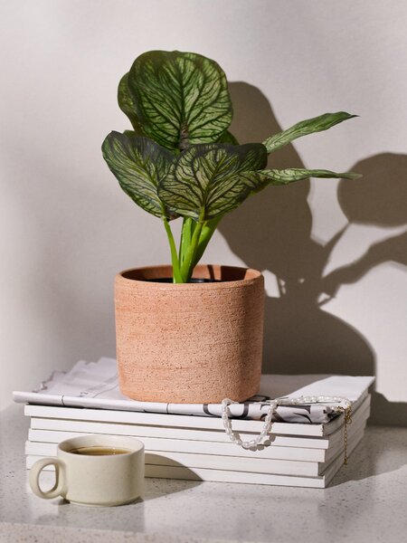 Sinsay - Изкуствено декоративно растение Alocasia в саксия - зeлeн