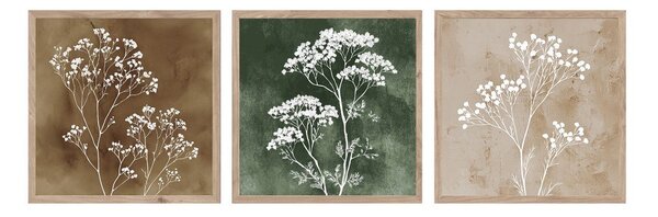 Картини в комплект 3 бр. 30x30 cm Floral Imprint – Styler