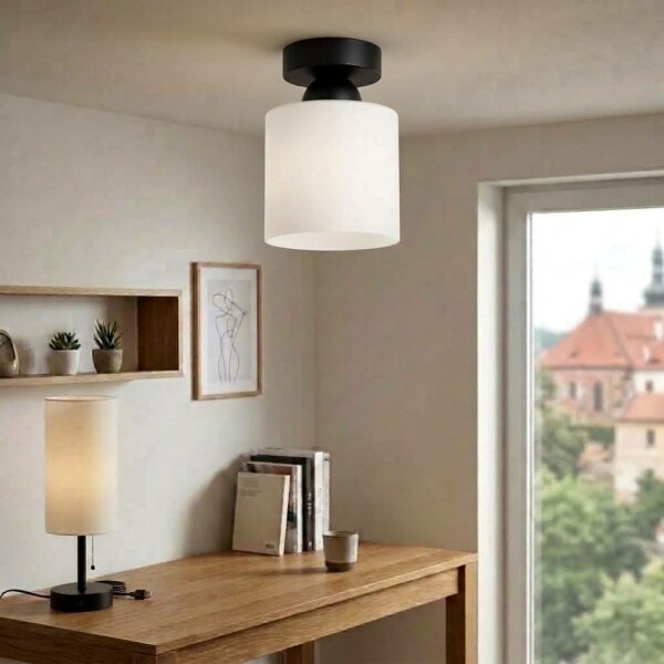 BRILAGI - LED таванно осветително тяло RETRO GLASS 1xE27/60W/230V Ø 10 см черно/бяло