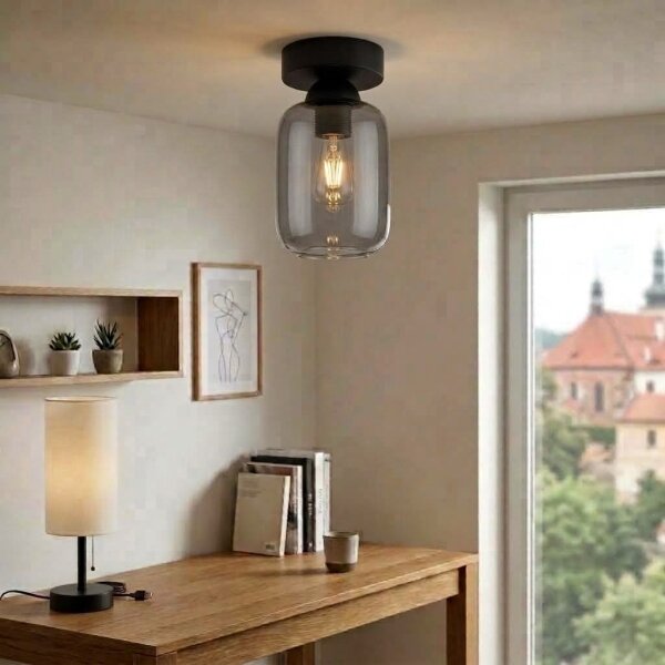 BRILAGI - LED таванно осветително тяло R GLASS 1xE27/60W/230V Ø 14 см черно/димно сиво