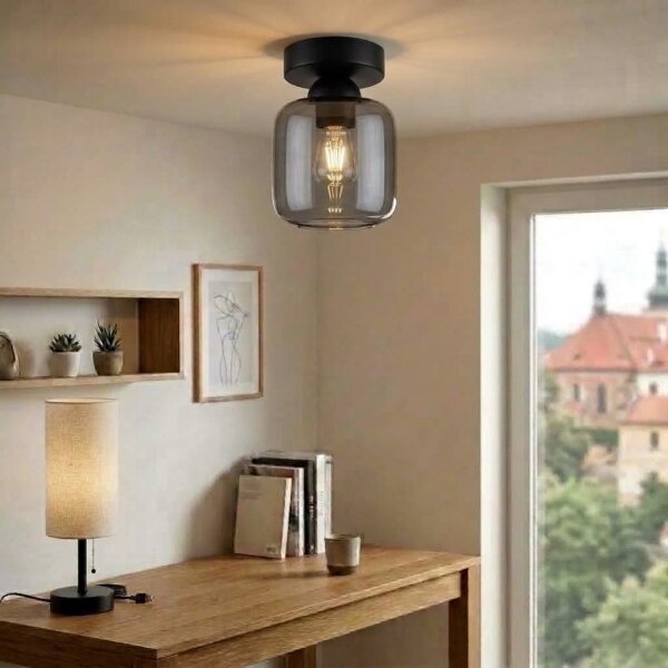BRILAGI - LED Таванно осветително тяло R GLASS 1xE27/60W/230V Ø 14 см черно/опушено сиво