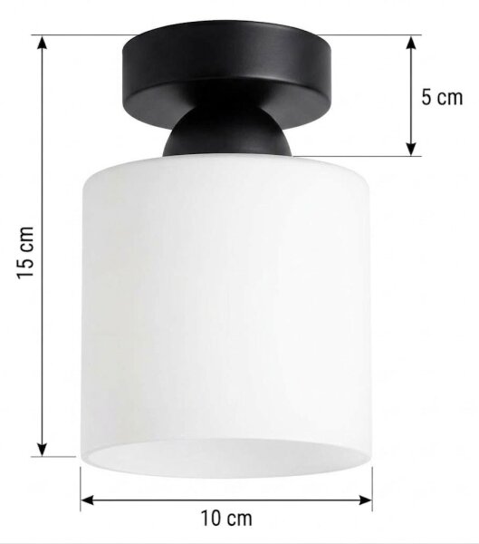 BRILAGI - LED таванно осветително тяло RETRO GLASS 1xE27/60W/230V Ø 10 см черно/бяло