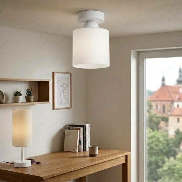 BRILAGI - LED таванно осветително тяло RETRO GLASS 1xE27/60W/230V диам. 10 см бяло