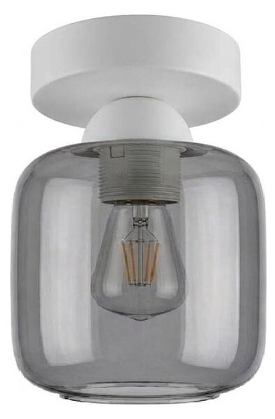 BRILAGI - LED таванно осветително тяло R GLASS 1xE27/60W/230V диам. 14 см бял/димчено сив
