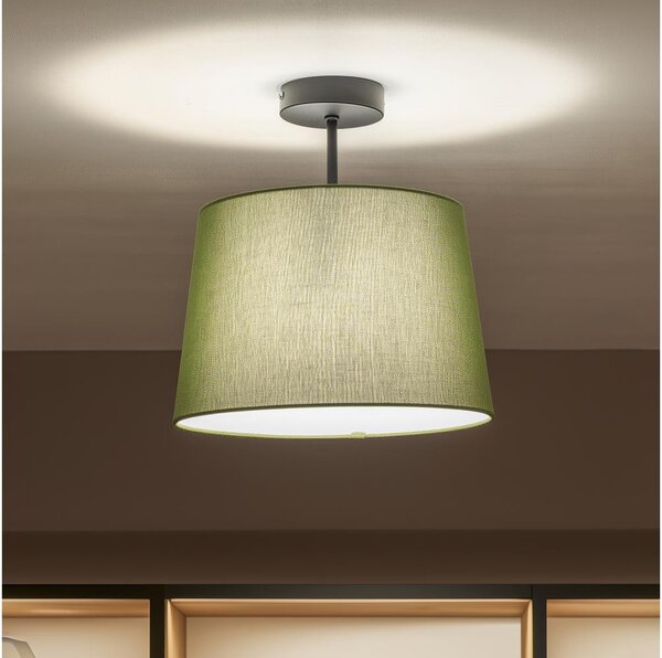 Brilagi - LED плафон CERIA 1xE27/60W/230V Ø 30 см черен/зелен