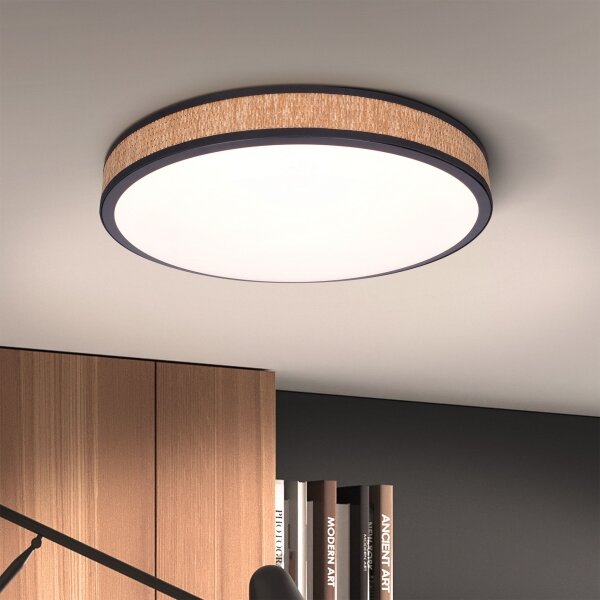 Brilagi - LED регулируемо таванно осветление ROSA LED/48W/230V 3000-6500K + DO