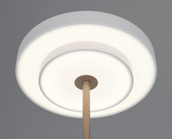 LED затъмняваща се подова лампа в цвят слонова кост (височина 138 cm) Keaton – Trio