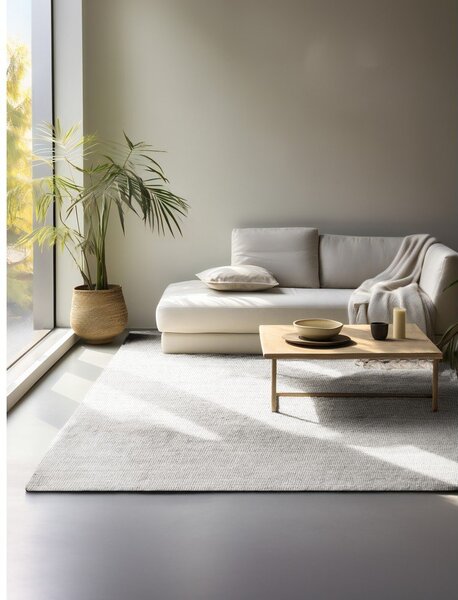 Светлосив двустранен ръчно изработен ютен килим 60x90 cm Bouclé Jaipur – Hanse Home