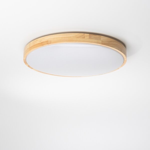 Brilagi - LED димируемо таванно осветително тяло PINE LED/24W/230V + дистанционно управление