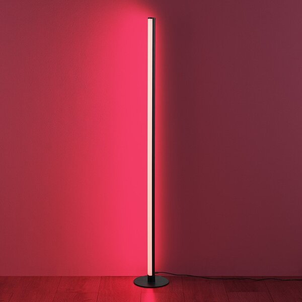 Черна LED подова лампа (височина 110 cm) Tendo – Reality