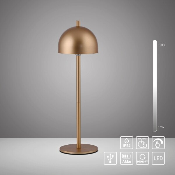 Schöner Wohnen 19244-12 - LED димируема настолна лампа BELLIS LED/2,5W/5V IP54 златна