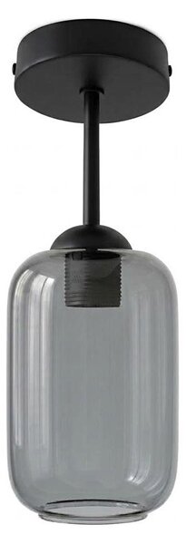 BRILAGI - LED пристъпен полилей R GLASS 1xE27/60W/230V Ø 14 см черен/димно сив