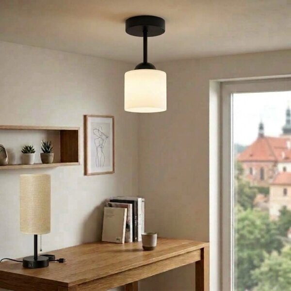 BRILAGI - LED плафон RETRO GLASS 1xE27/60W/230V Ø 10 cm черен/бял