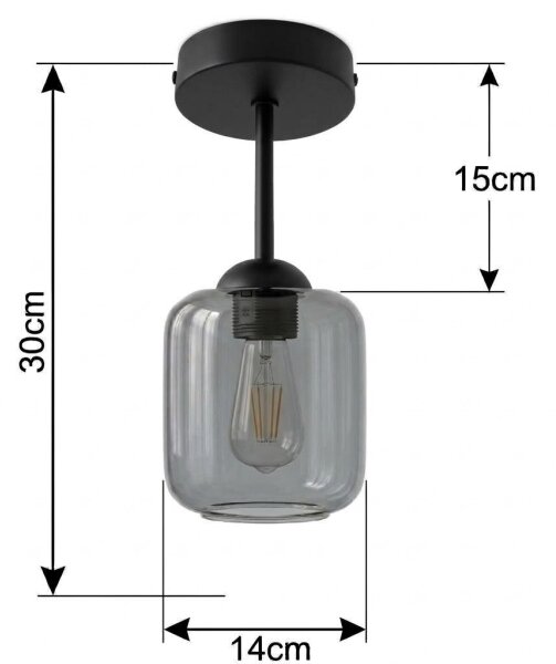 BRILAGI - LED Повърхностно монтиран плафон R GLASS 1xE27/60W/230V Ø 14 cm черен/димно сив