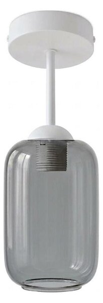 BRILAGI - LED плафон R GLASS 1xE27/60W/230V Ø 14 см бял/димно сив