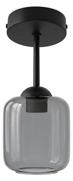 BRILAGI - LED Повърхностно монтиран плафон R GLASS 1xE27/60W/230V Ø 14 cm черен/димно сив