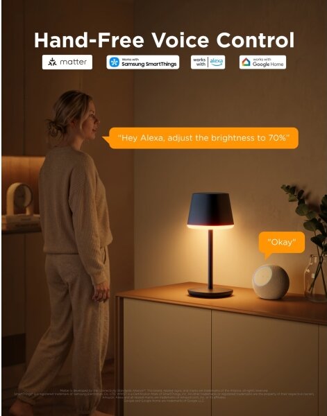 Govee - LED RGBICWW Настолна лампа с регулируема яркост CLASSIC MATTER LED/10W/5V Wi-Fi