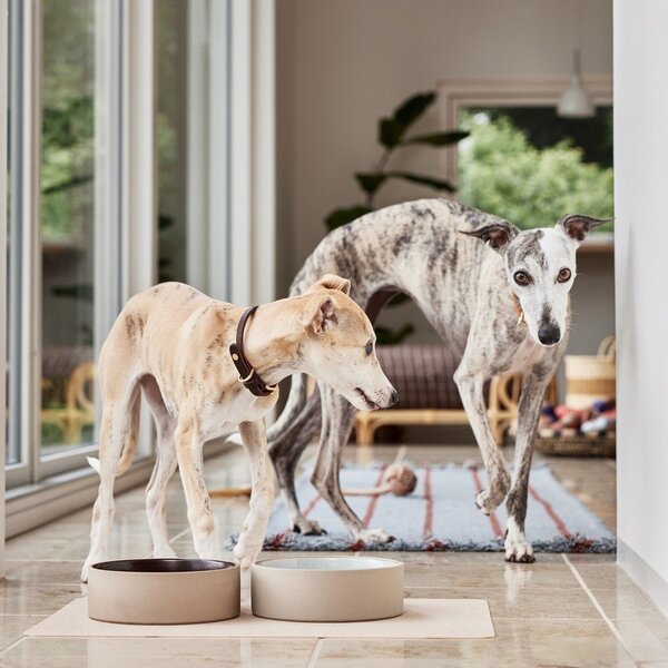 Керамична купа за куче ø 17 cm Sia – OYOY Living Design