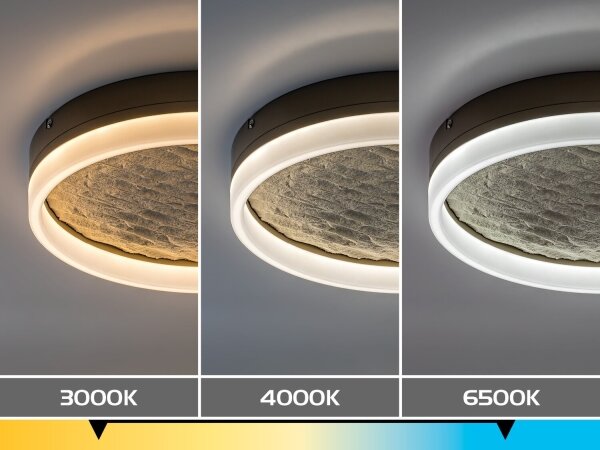 Rabalux 71525 - LED димируемо таванно осветително тяло TIMMO 24W/230V 3000-6500K Ø 40 см бежово + дистанционно управление