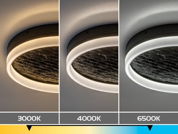 Rabalux 71523 - LED димируема таванна лампа TIMMO 24W/230V 3000-6500K Ø 40 cm черна+ДУ