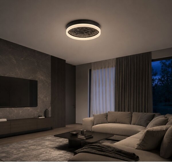 Rabalux 71523 - LED димируема таванна лампа TIMMO 24W/230V 3000-6500K Ø 40 cm черна+ДУ