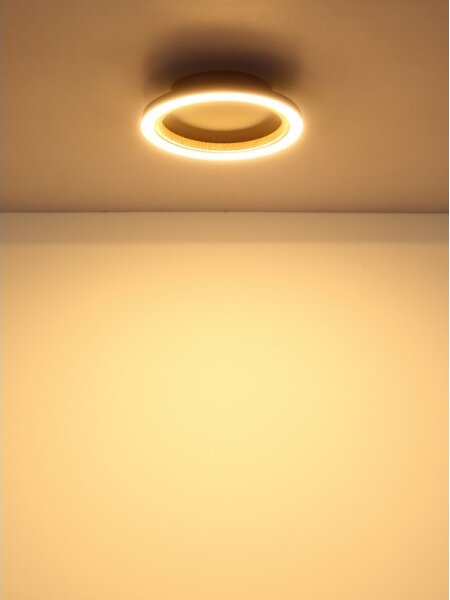 Globo 67356D - LED таванно осветително тяло DAKARI I LED/12W/230V 3000K диам. 20,5 см