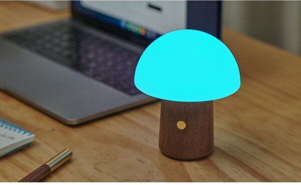 LED настолна лампа в бял и тъмно естествен цвят (височина 12,5 cm) Alice Mushroom – Gingko