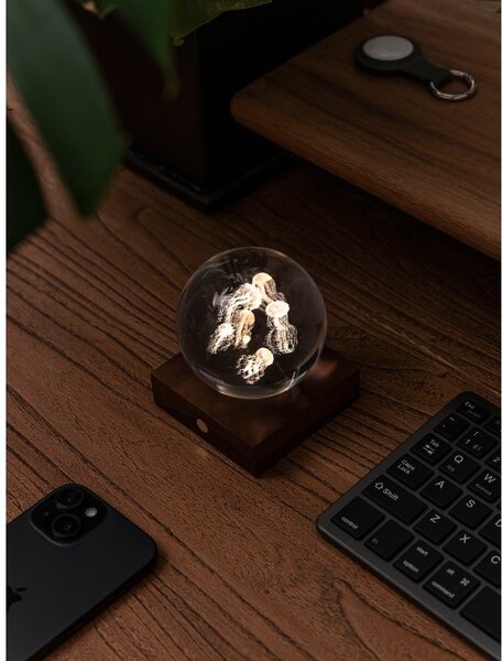 Тъмнокафява светлинна декорация с USB Amber – Gingko