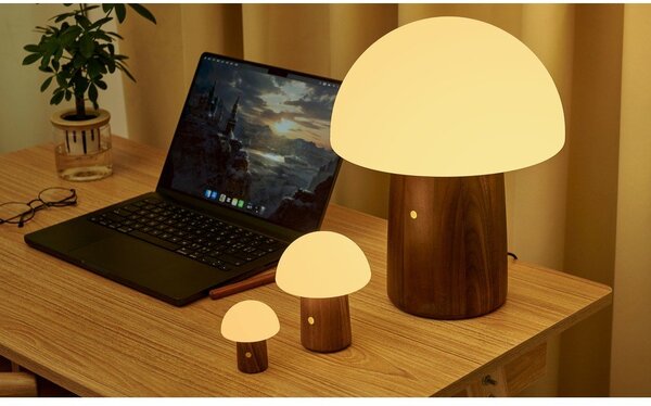 LED настолна лампа в бял и тъмно естествен цвят (височина 7 cm) Alice Mushroom – Gingko