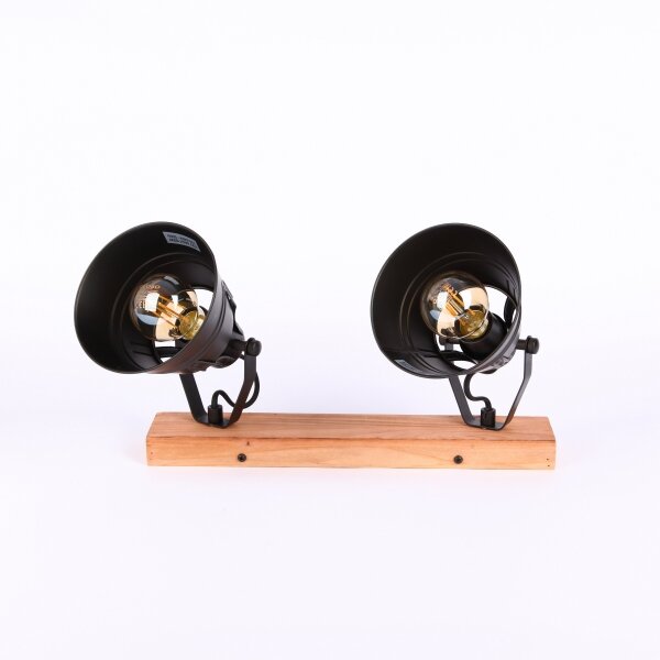 Globo 15466S-2 - Спот GÜNTHER 2xE27/60W/230V