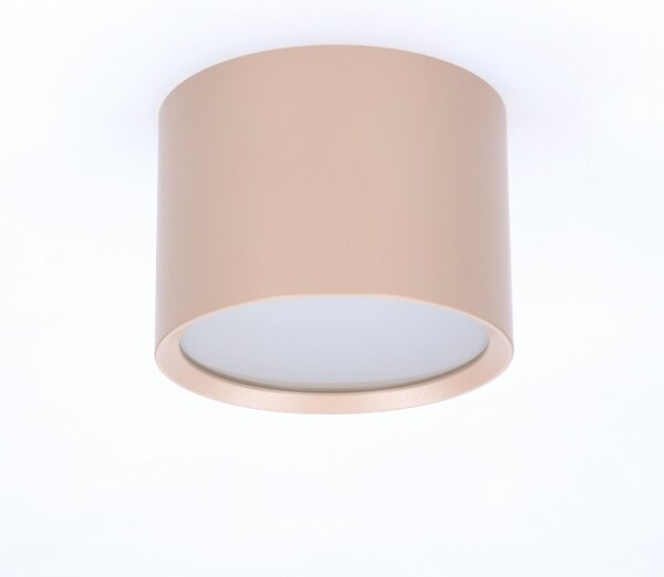 BRILAGI - Точково осветително тяло за баня SMOOTH 1xGX53/15W/230V 60x82 mm бежово IP54