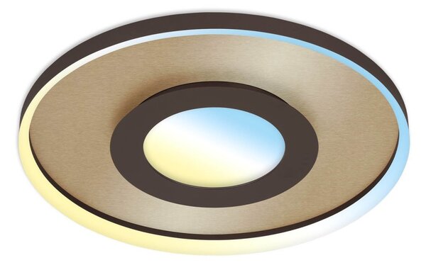 Briloner 3640017 - LED регулируемо таванно осветление LED/25W/230V 2700-6500K +