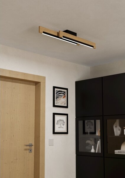 Eglo 99292 - LED Димируема лампа CAMACHO 2xLED/10W/230V