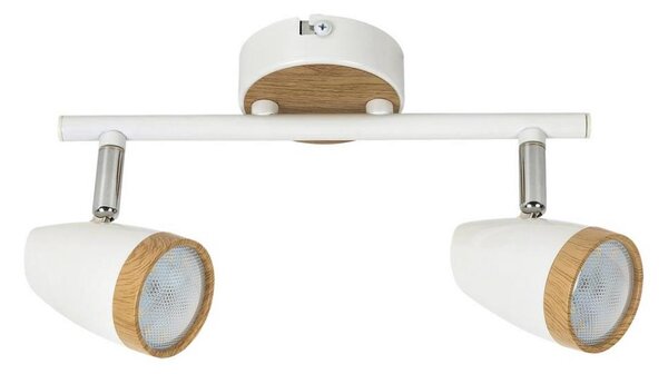Rabalux 5565 - LED Прожектор, луна KAREN 2xLED/4W/230V