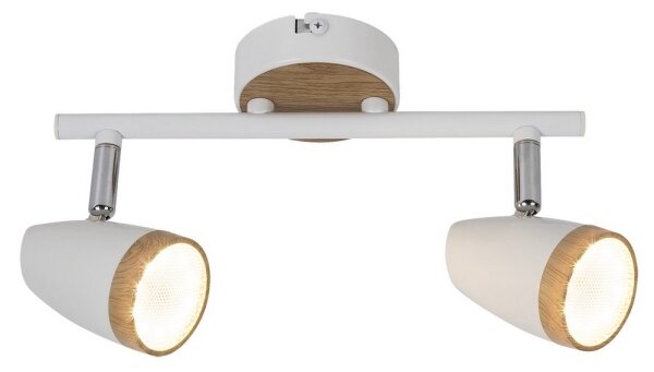Rabalux 5565 - LED Прожектор, луна KAREN 2xLED/4W/230V