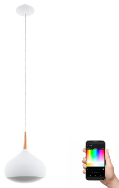 Eglo 97087 - LED RGBW димируема висяща лампа COMBA-C LED/18W/230V