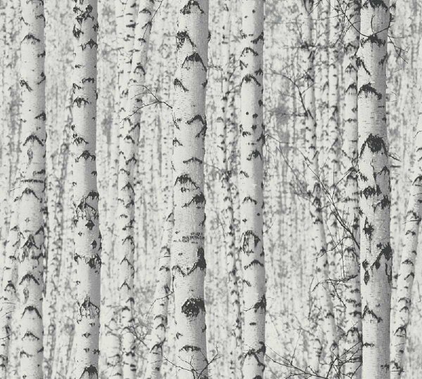 Влизелинов тапет за стена pintwalls 38719-1
