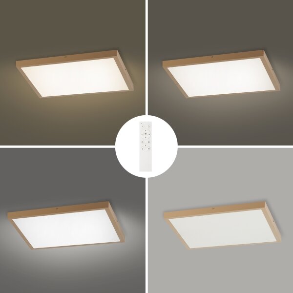 Brilagi - димируемо LED осветително тяло за баня FRAME SMART LED/50W/230V 60x60 IP44 + дистанционно управление