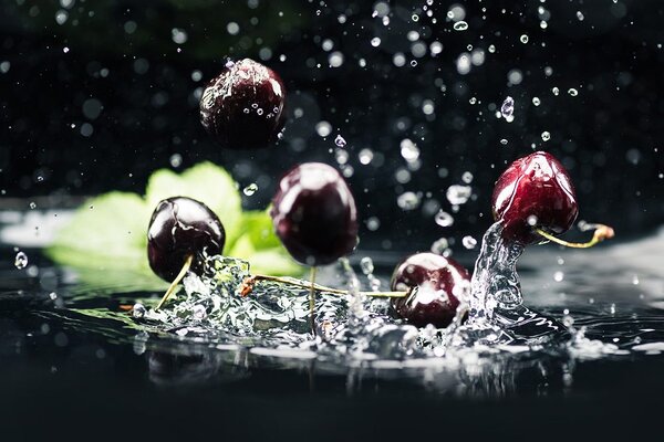 Фототапет – Зрели череши във вода