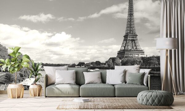 Фототапет – Прекрасна черно-бяла панорама на Париж