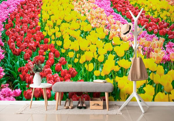 Фототапет – Градина пълна с лалета