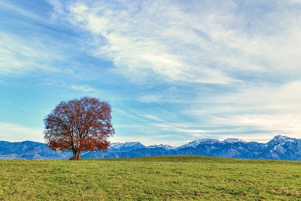 Фототапет – Панорама на планините