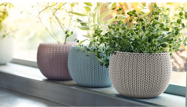 Пластмасови комплект саксии 3 бр. ø 15 cm Cozy – Keter