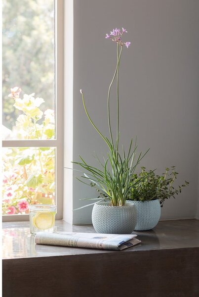 Пластмасови комплект саксии 3 бр. ø 15 cm Cozy – Keter