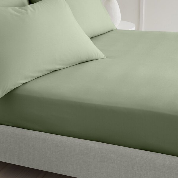 Зелен еластичен чаршаф от памук перкал 90x190 cm Cotton Percale – Bianca